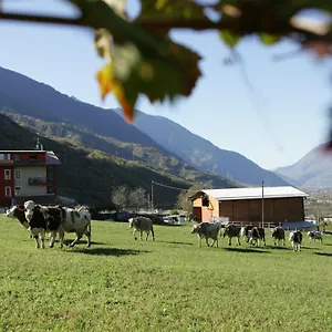 Casa di campagna Stella Orobica, Albosaggia