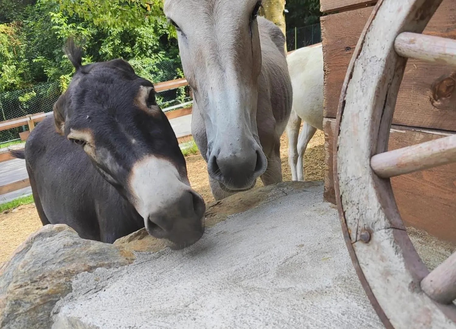 Luxury tent Lieve Agriglamping Experience Hotel Albosaggia Italy