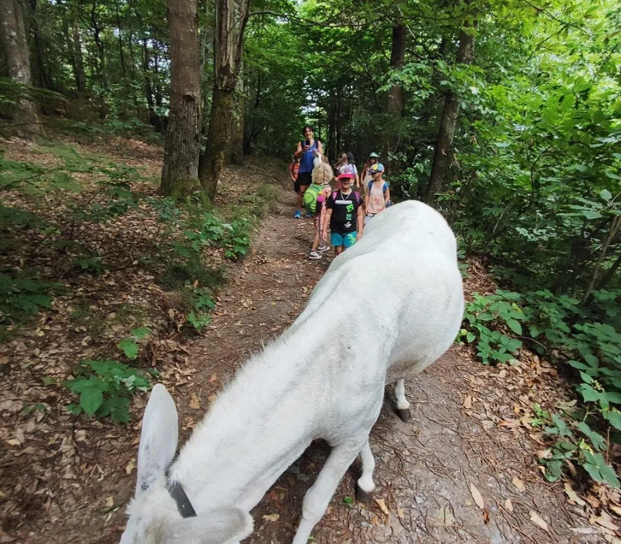 Lieve Agriglamping Experience Hotel Albosaggia