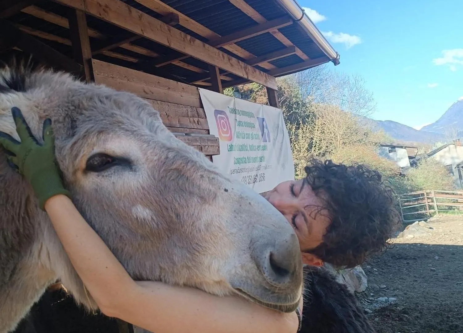 Lieve Agriglamping Experience Hotel Albosaggia